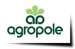 AGROPOLE seasonings from dried vegetables and greens, baked onions and minced meat firm Poland